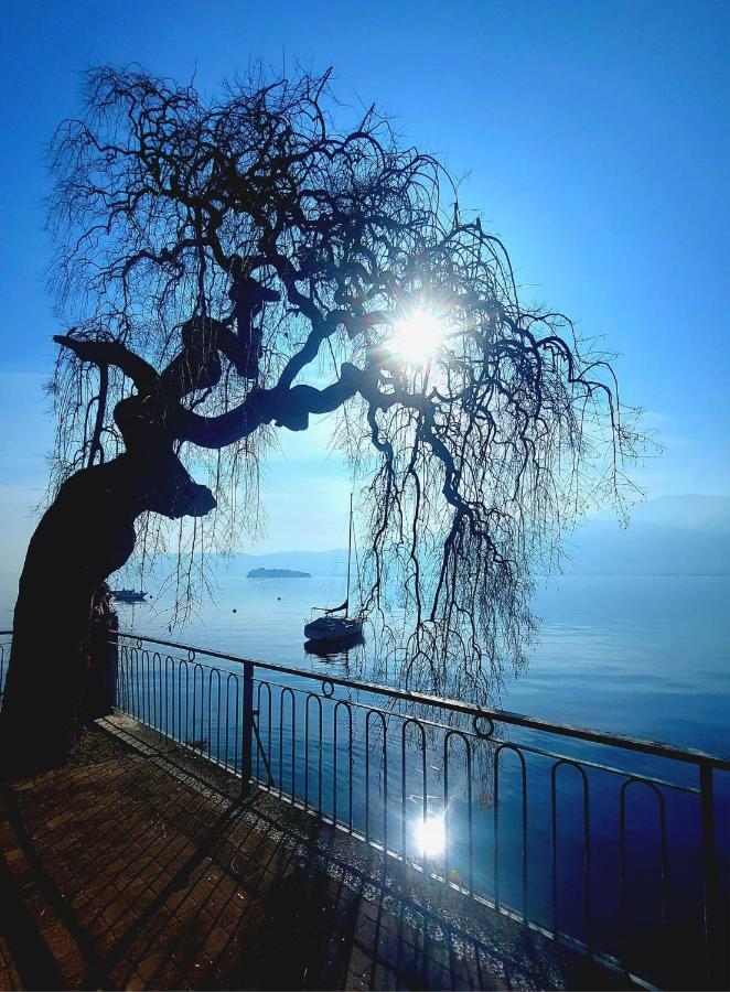 Little Suite Near Lake Verbania Dış mekan fotoğraf